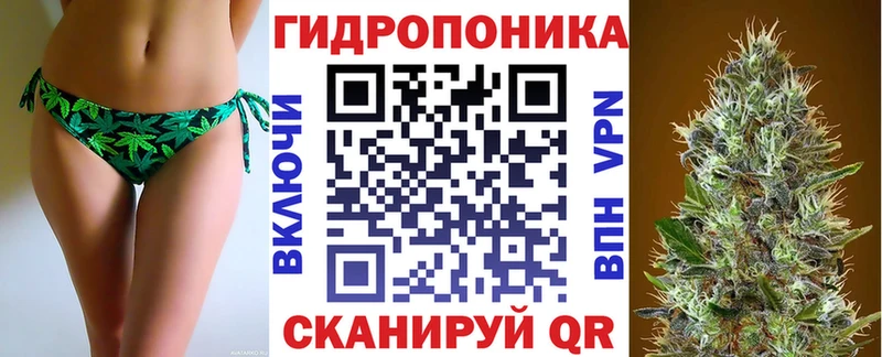 Какие есть наркотики Елизово Гашиш  Alpha PVP  Меф 