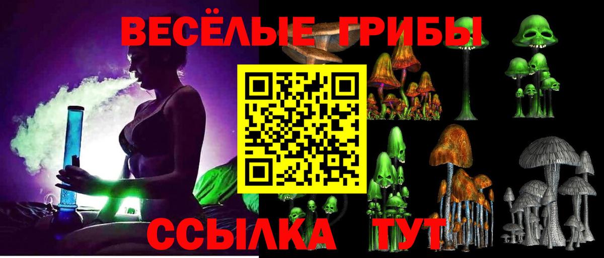купить  цена  Псилоцибиновые грибы MAGIC MUSHROOMS  Елизово  Вход с VPN  Галлюциногенные грибы MAGIC MUSHROOMS 